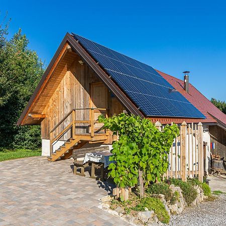 Vineyard Cottage Skatlar 3 Otočec المظهر الخارجي الصورة