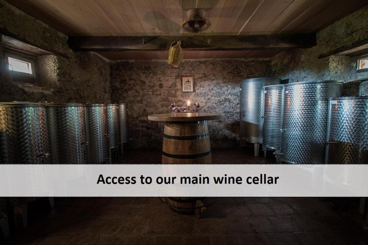 Vineyard Cottage Skatlar 3 Otočec المظهر الخارجي الصورة