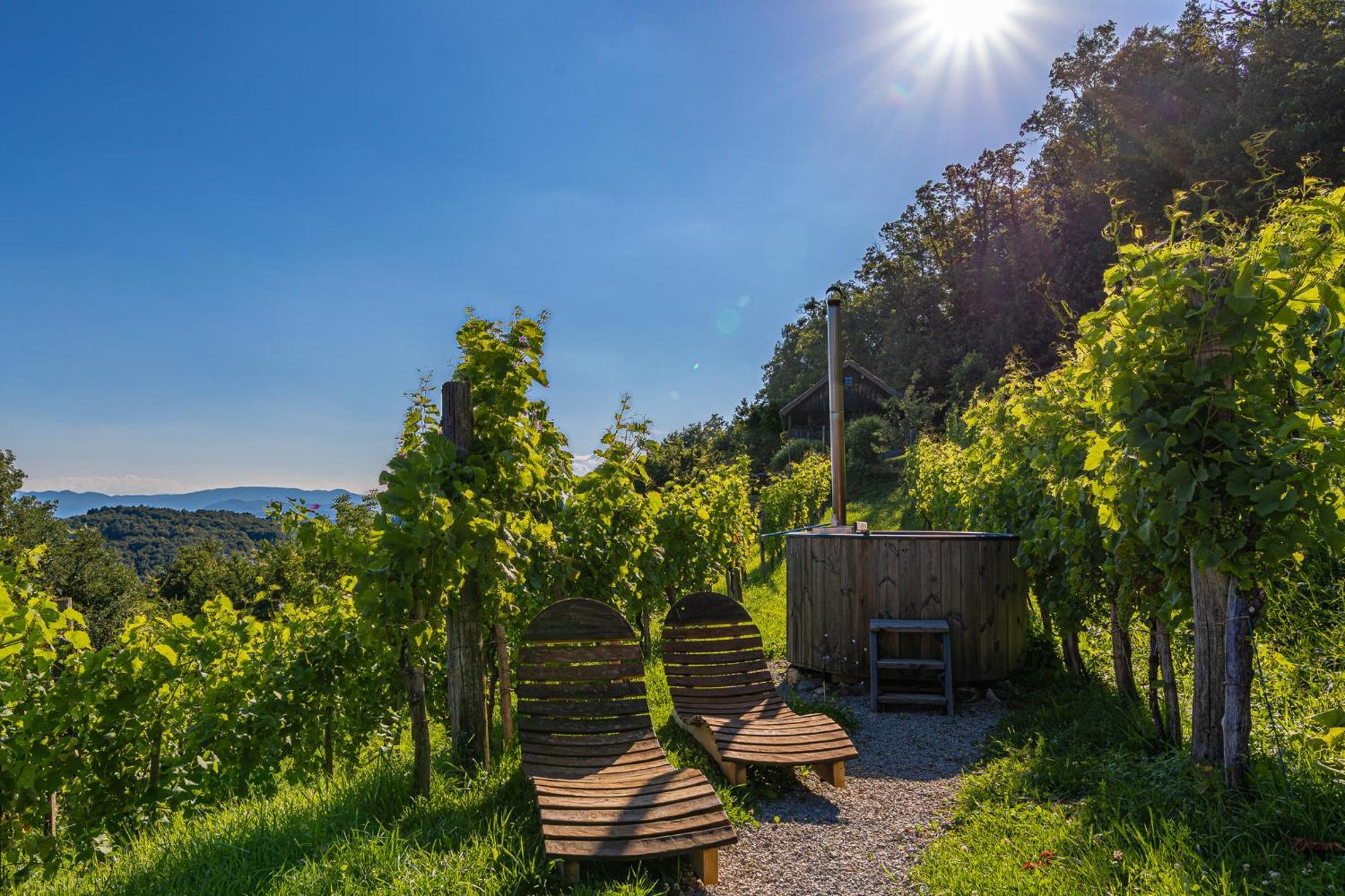 Vineyard Cottage Skatlar 3 Otočec المظهر الخارجي الصورة